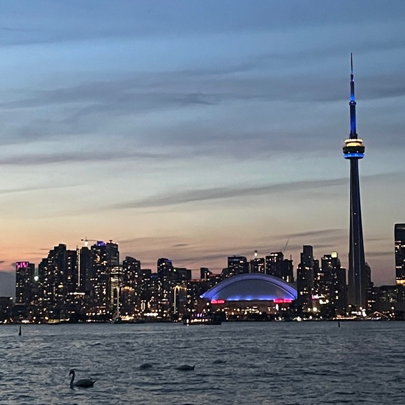 Meet your Posher, Grace - Picture 1 of 1